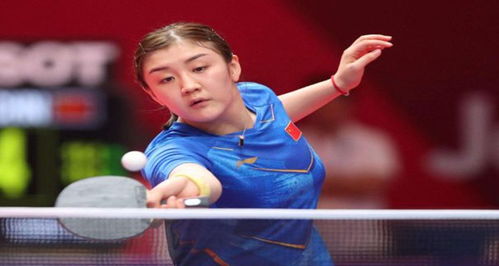 以快速传导 以快速传导