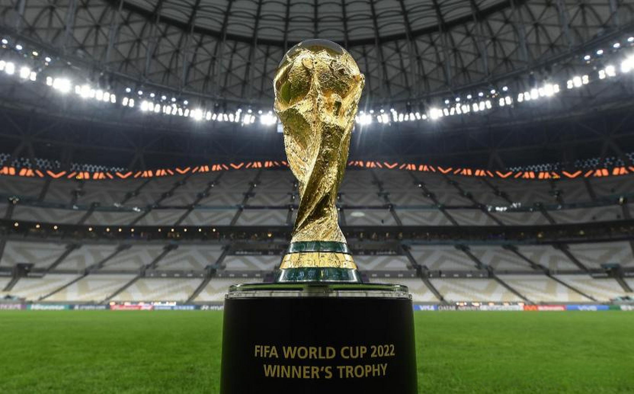 业的培养体 业的培养体