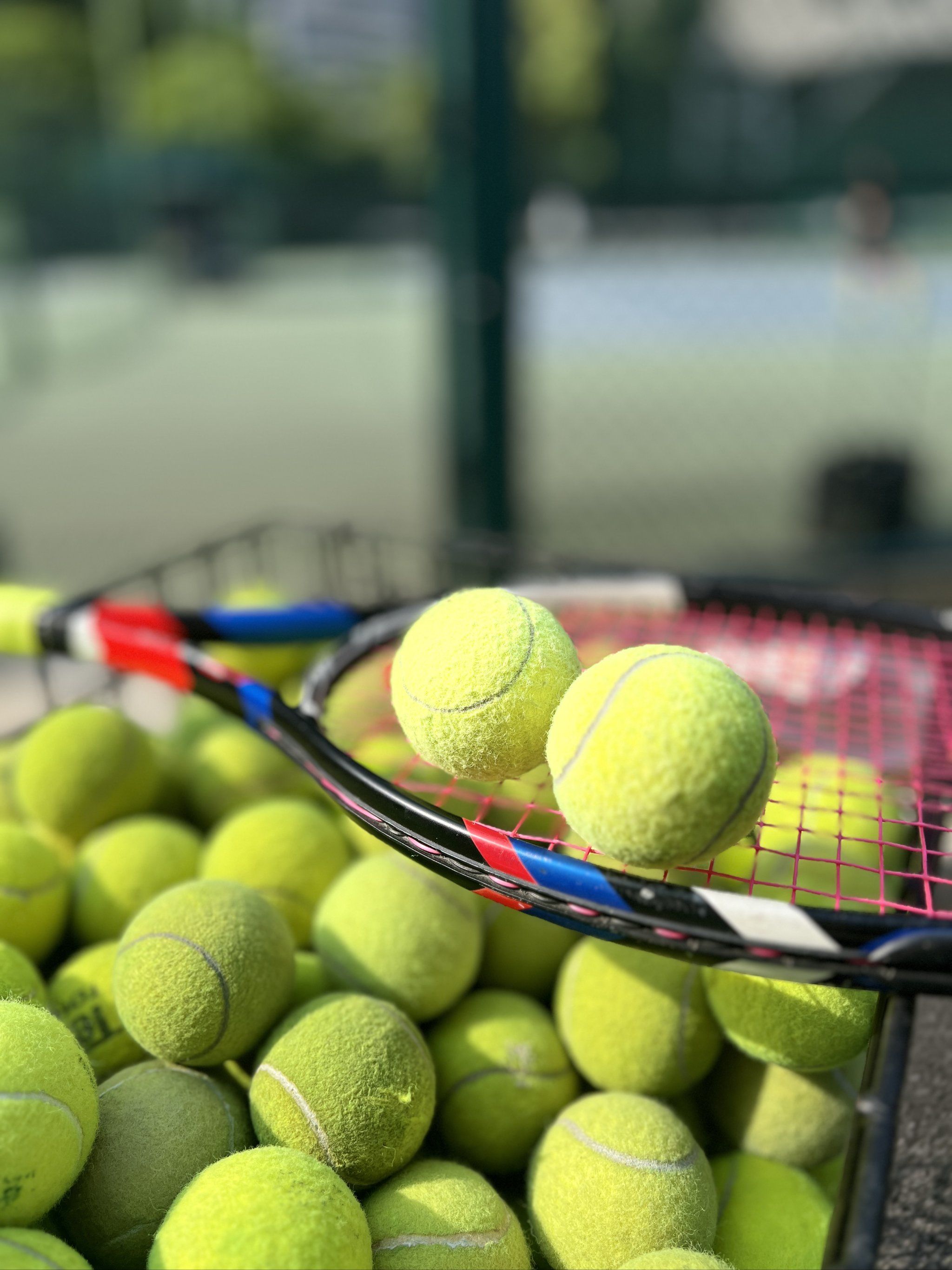 获得英科斯 获得英科斯