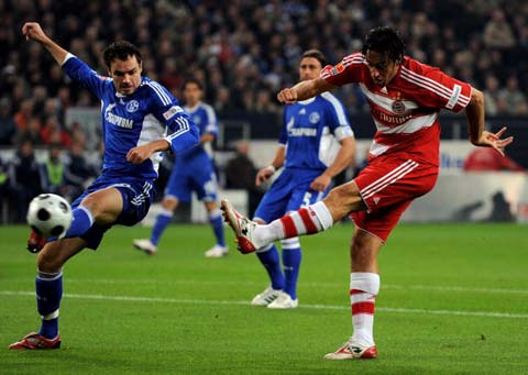 的自嘲与坦 的自嘲与坦