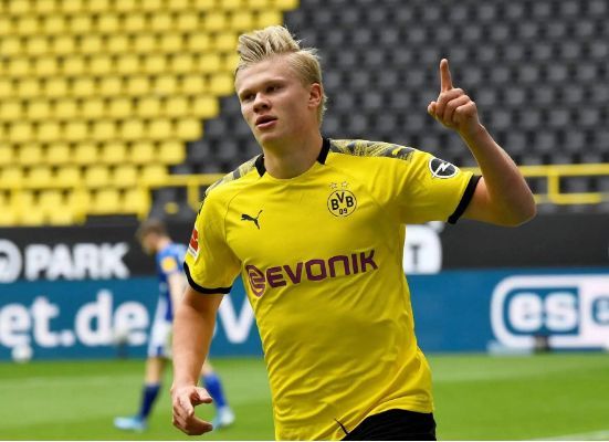 质量分更高 质量分更高